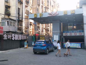 图 金叶solo国际 精装小户型公寓房 户型不多的朝南房 有钥匙金叶国际 武汉二手房