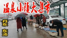 南宁坛洛香蕉集市 物美价廉的热带果香与乡土风情