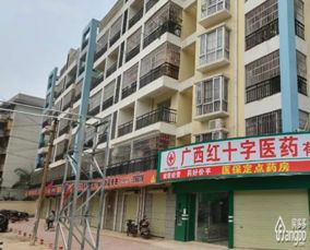 南宁区粮油食品进出口公司宿舍二手房分析 户型、价格与配套全解析